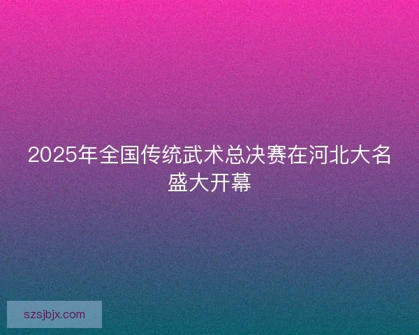 2025年全国传统武术总决赛在河北大名盛大开幕 2025年全国传统武术总决赛在河北大名盛大开幕